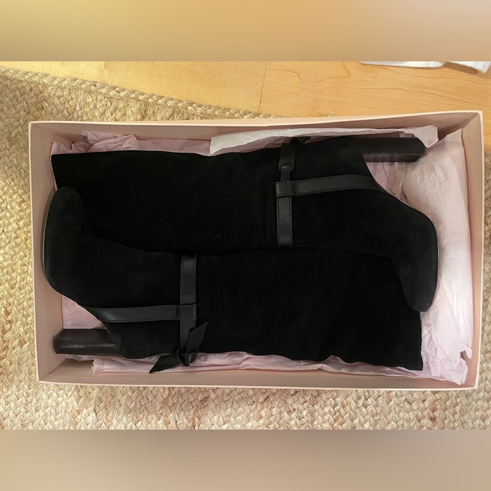 ALEXANDRE BIRMAN
Saddlery Clarita Suede Tall Boots size 39 WORN ONCE